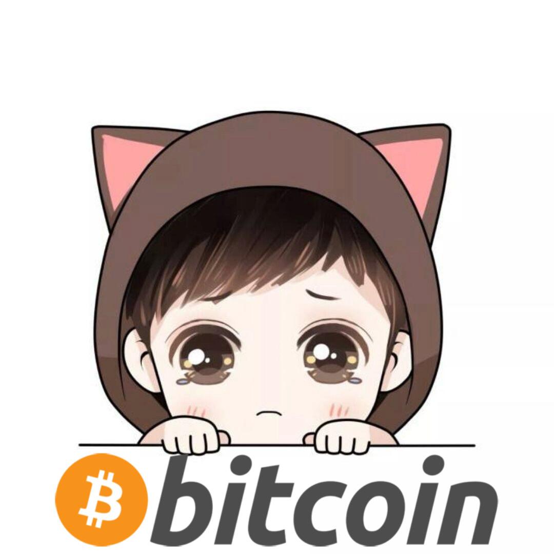 霖霖子只玩BTC