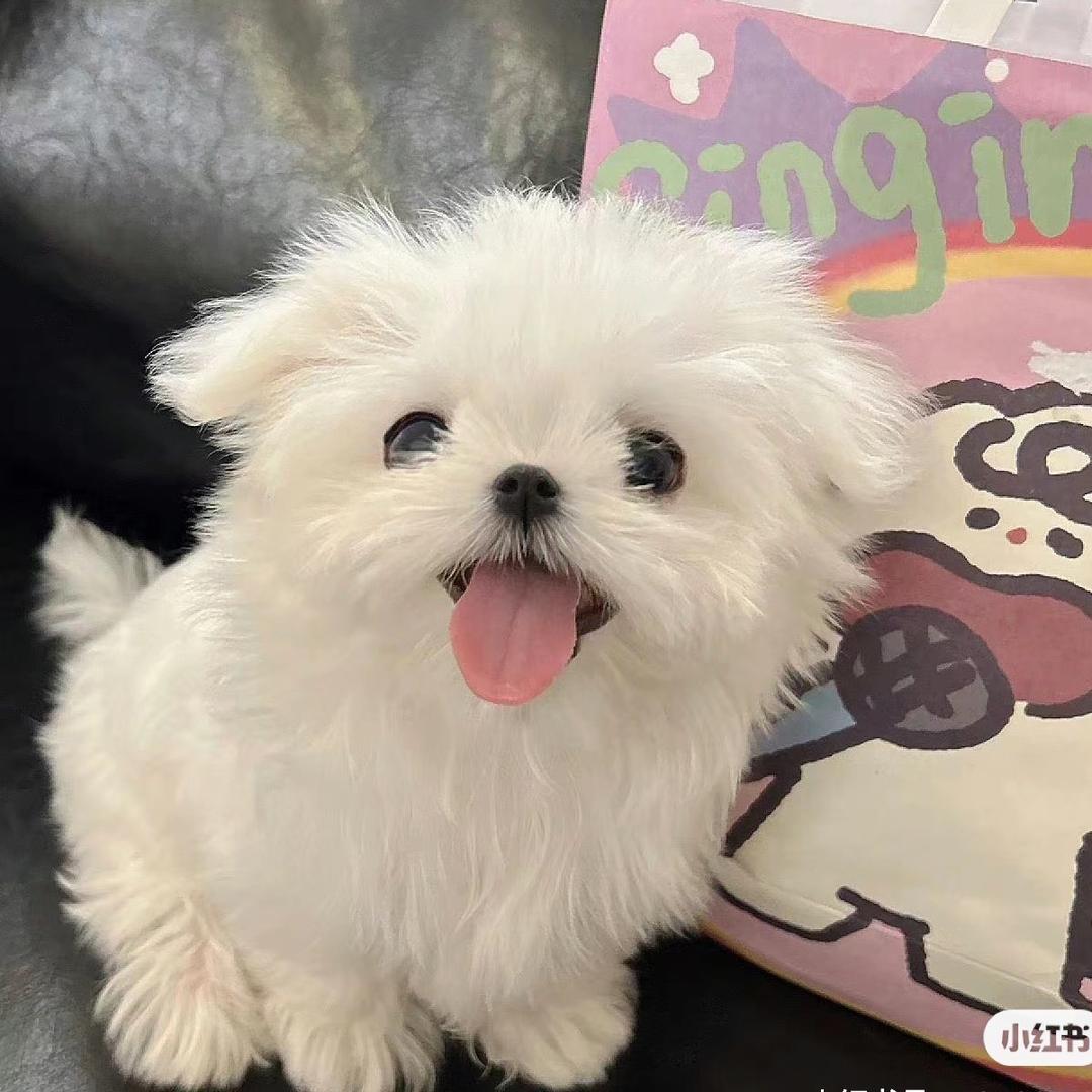 吃什么饭