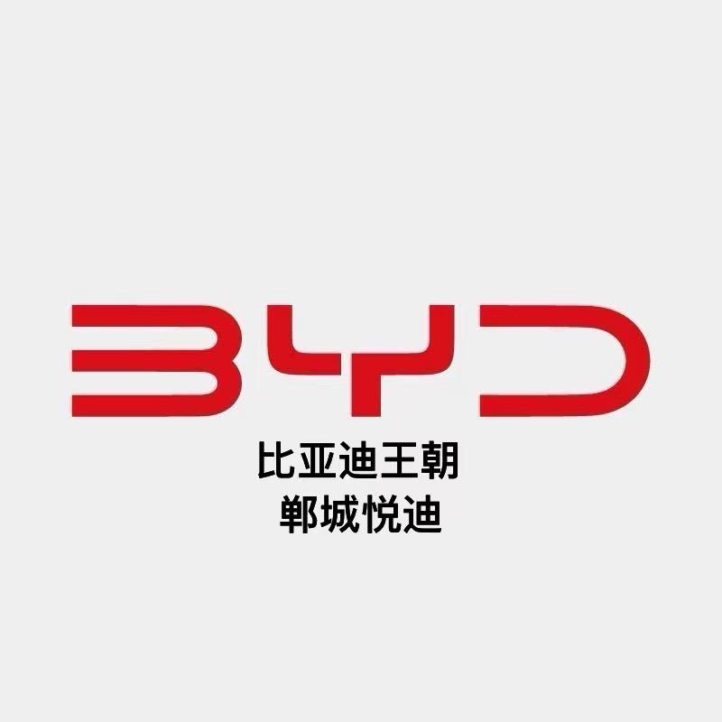 比亚迪王朝/郸城悦迪