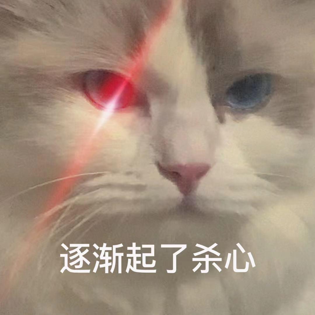 🌈名字不要太长像我这样就好