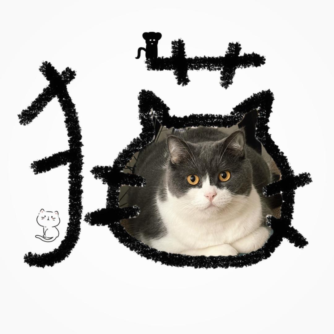 哈哈哈哈哈哈哈哈哈哈