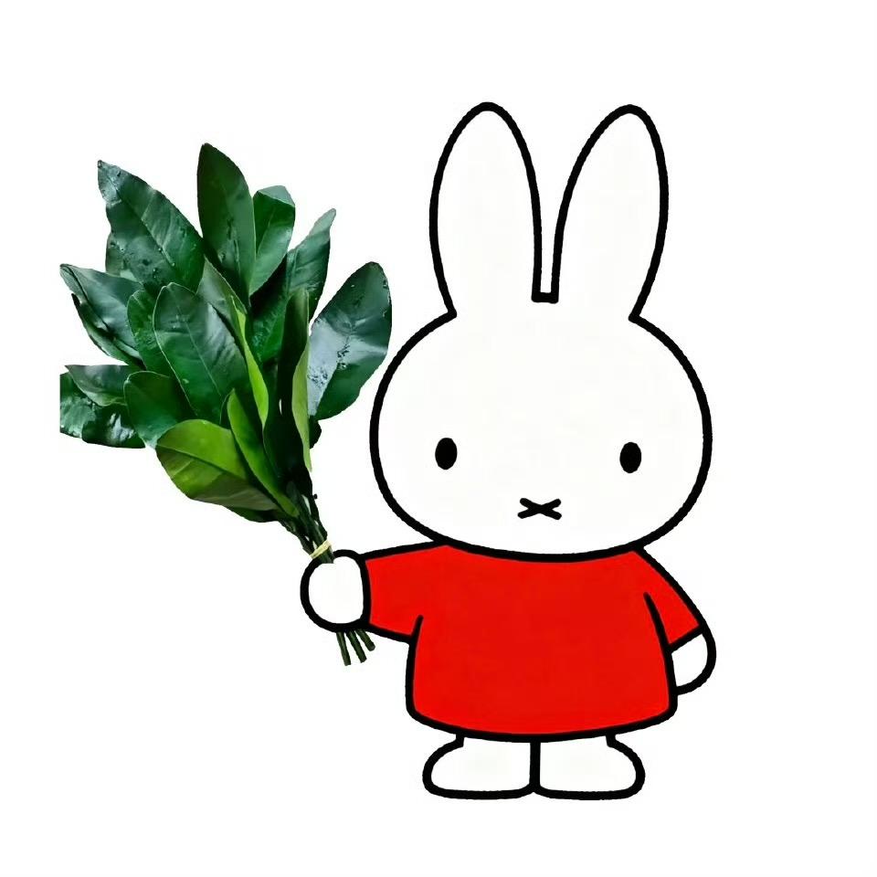 Kiki7