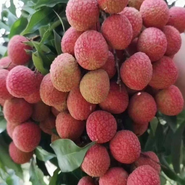 乌山农家生鲜