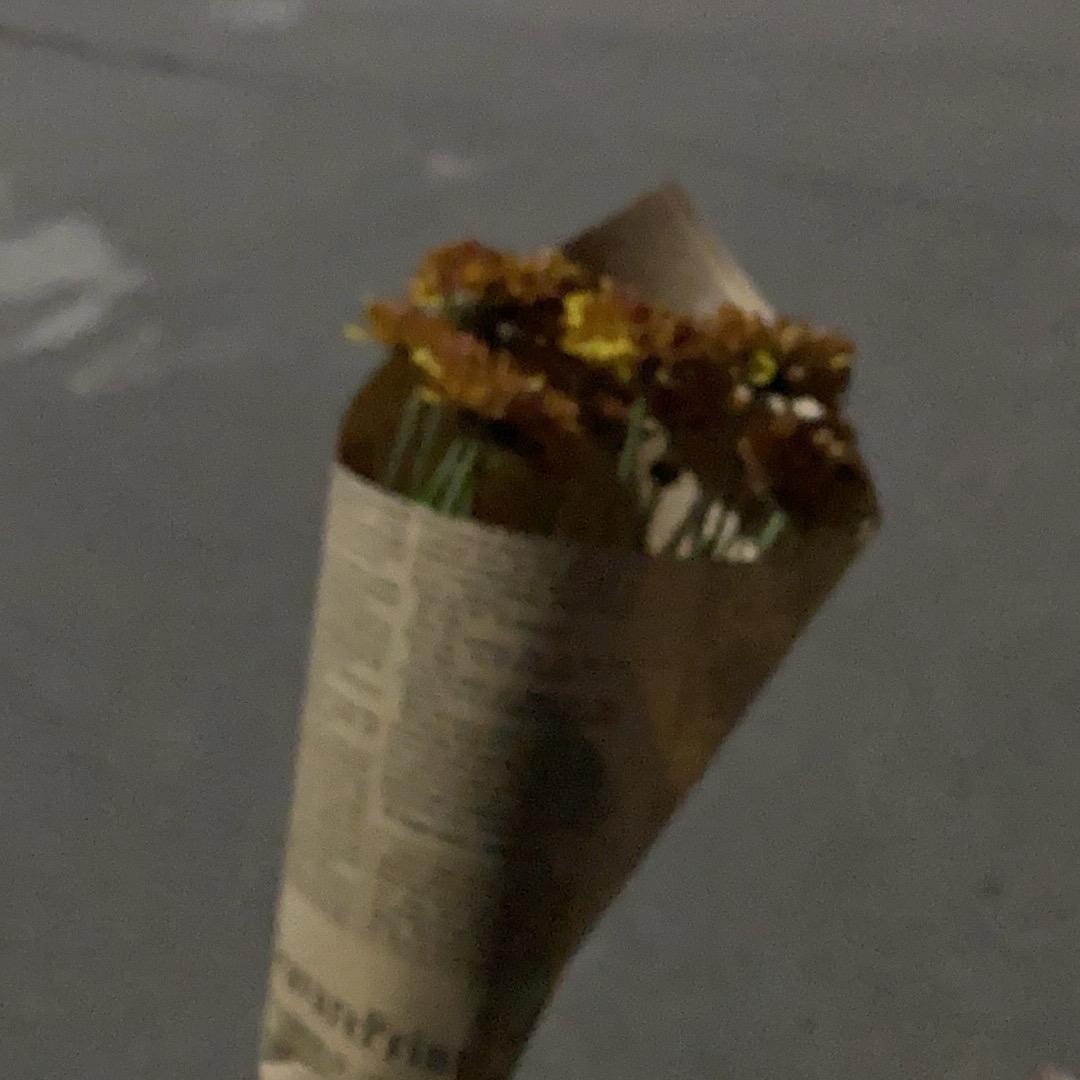 人间小透明