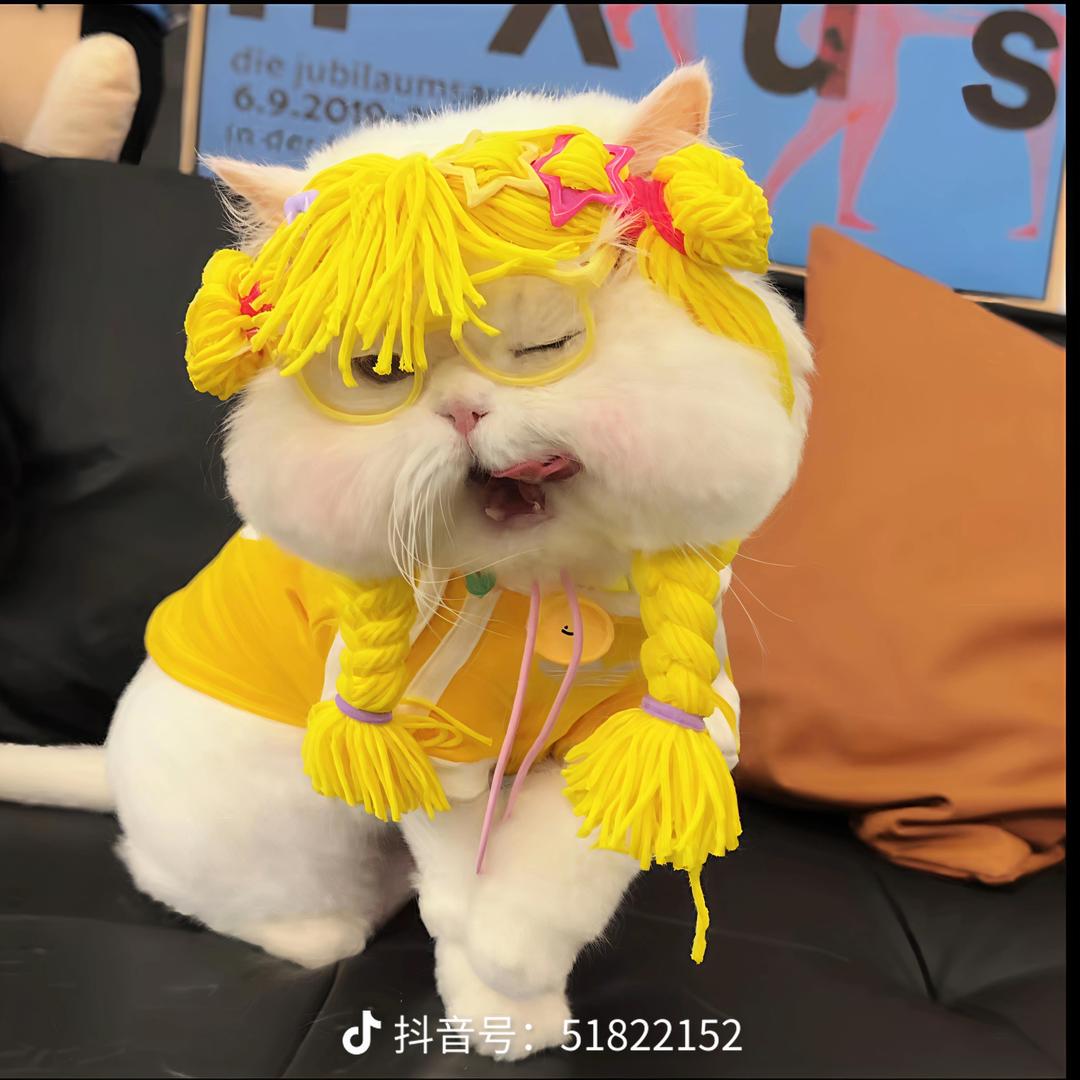 一群傻缺