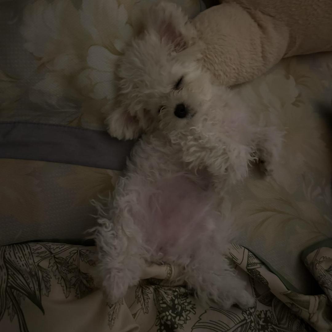_雯_