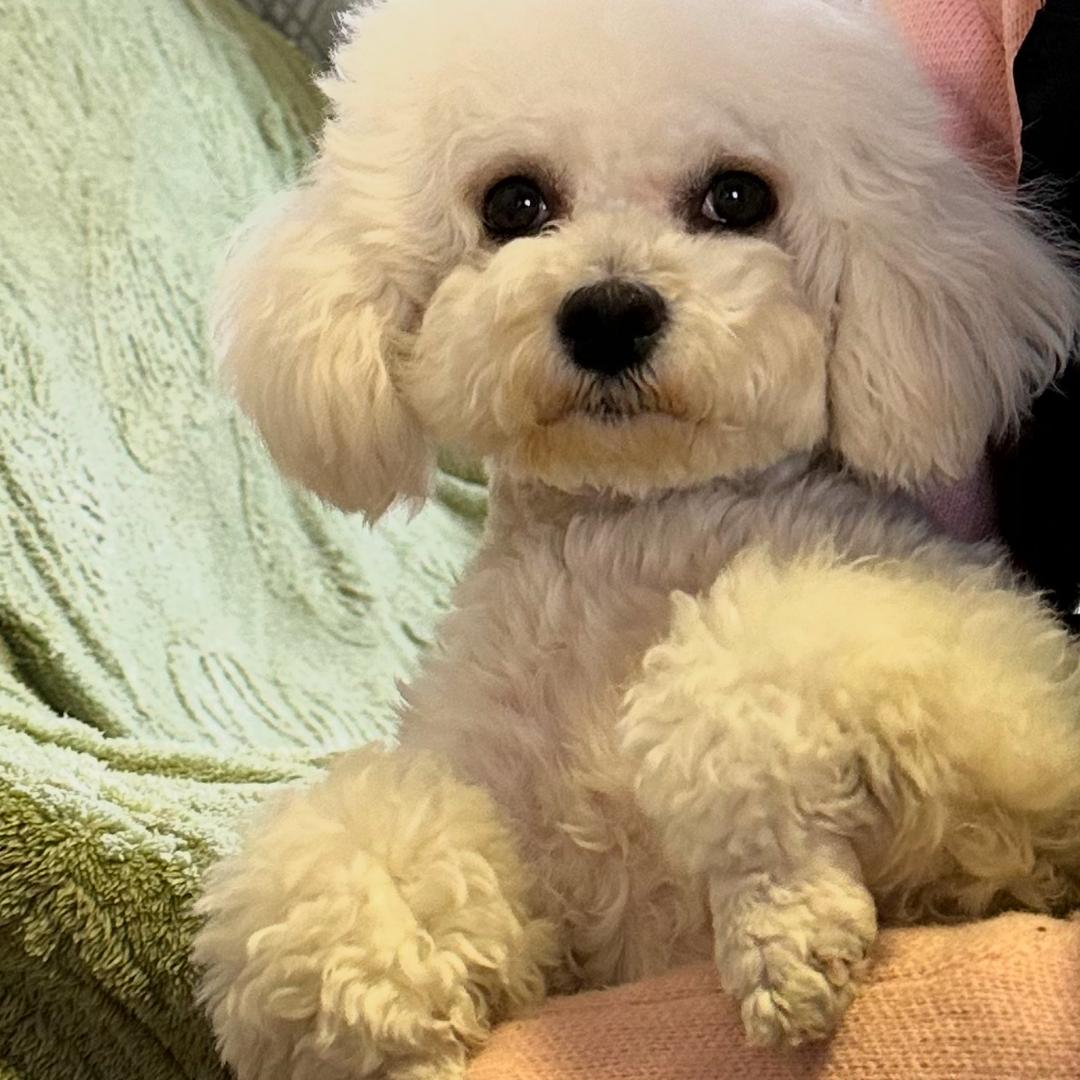 Xp玉玊