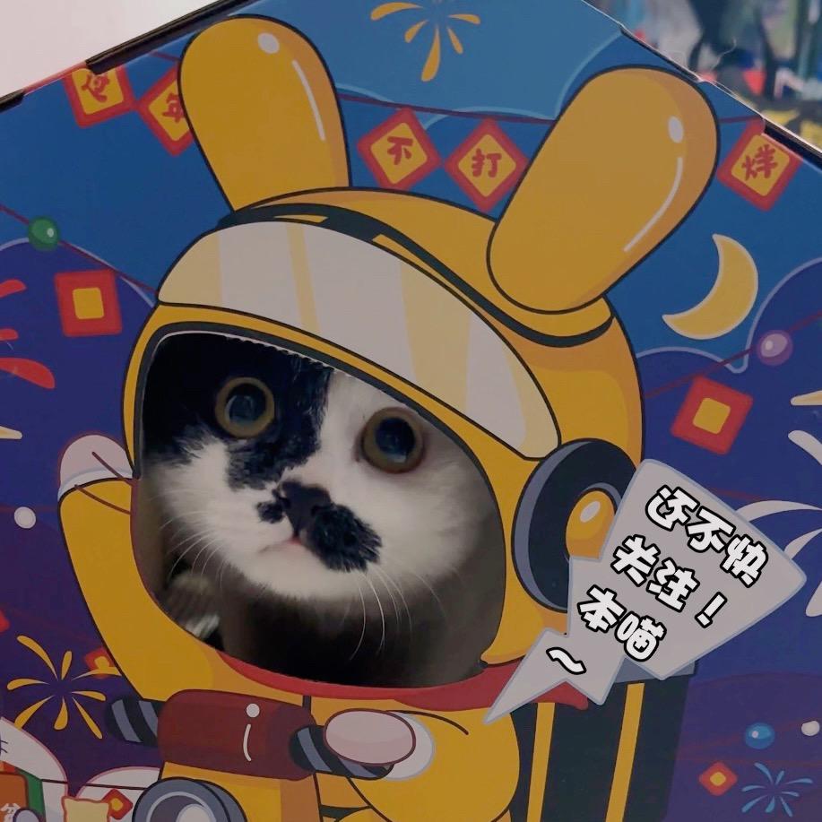 九九喵桑的头像