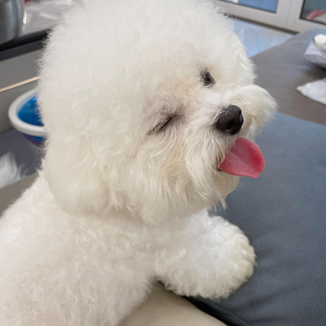 乐乐(字母尿垫工厂)