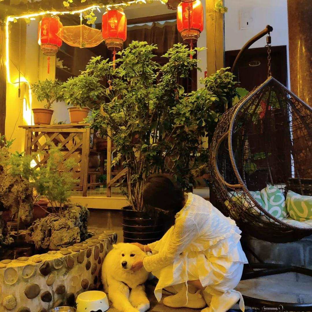 我是“卷卷”☘️