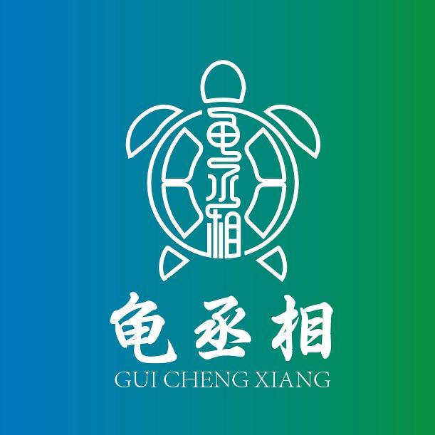 龟丞相