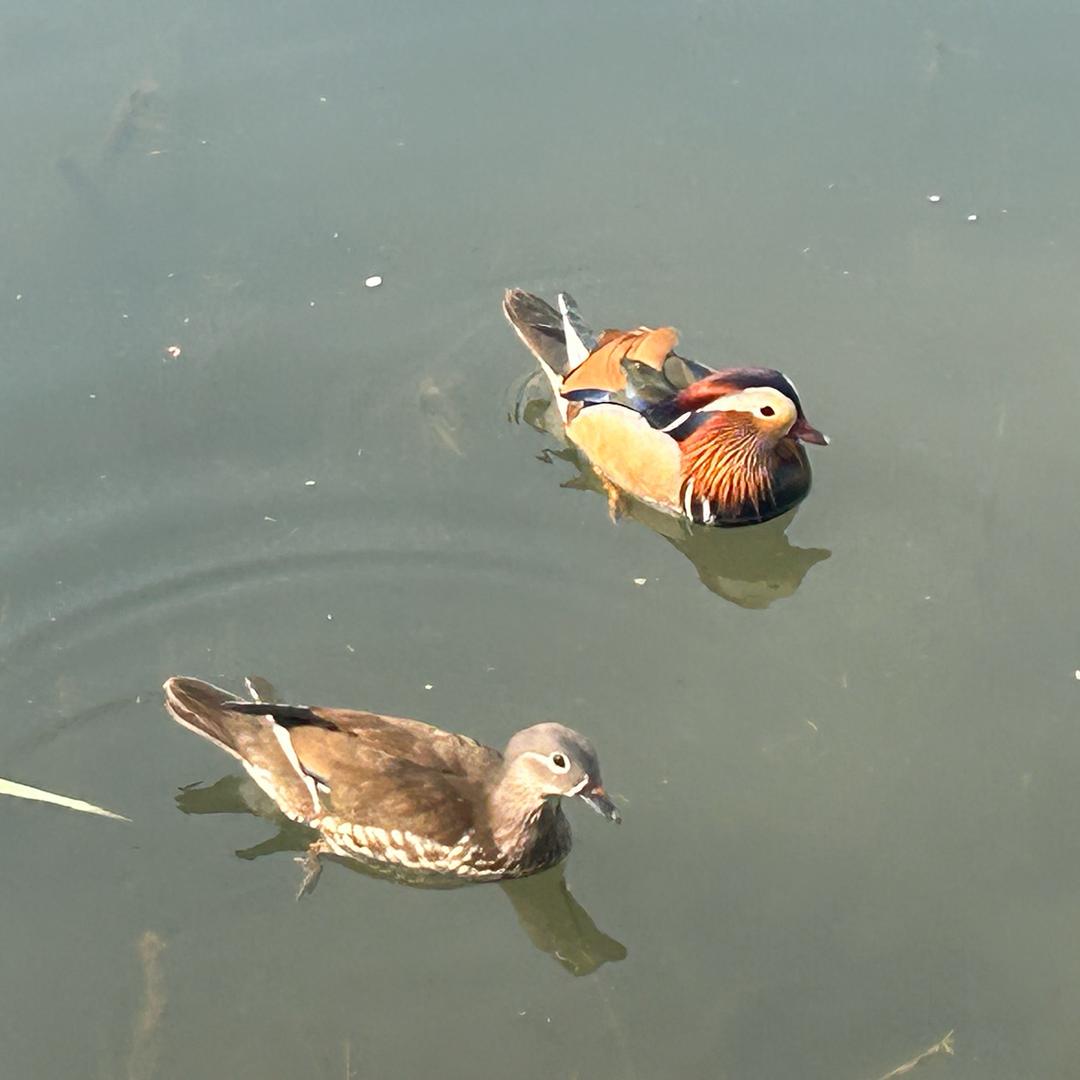 风烛残年看花火