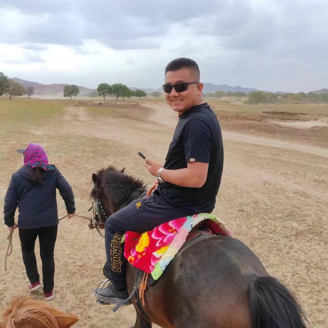 清徐顺辉二小砖家