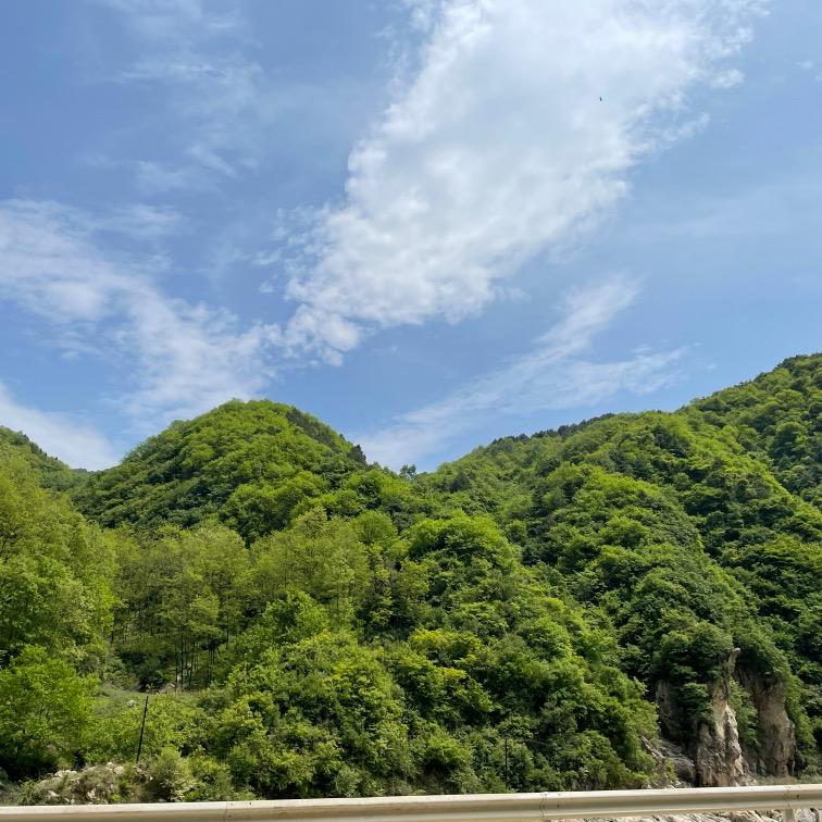 皮卡丘卡丘卡丘