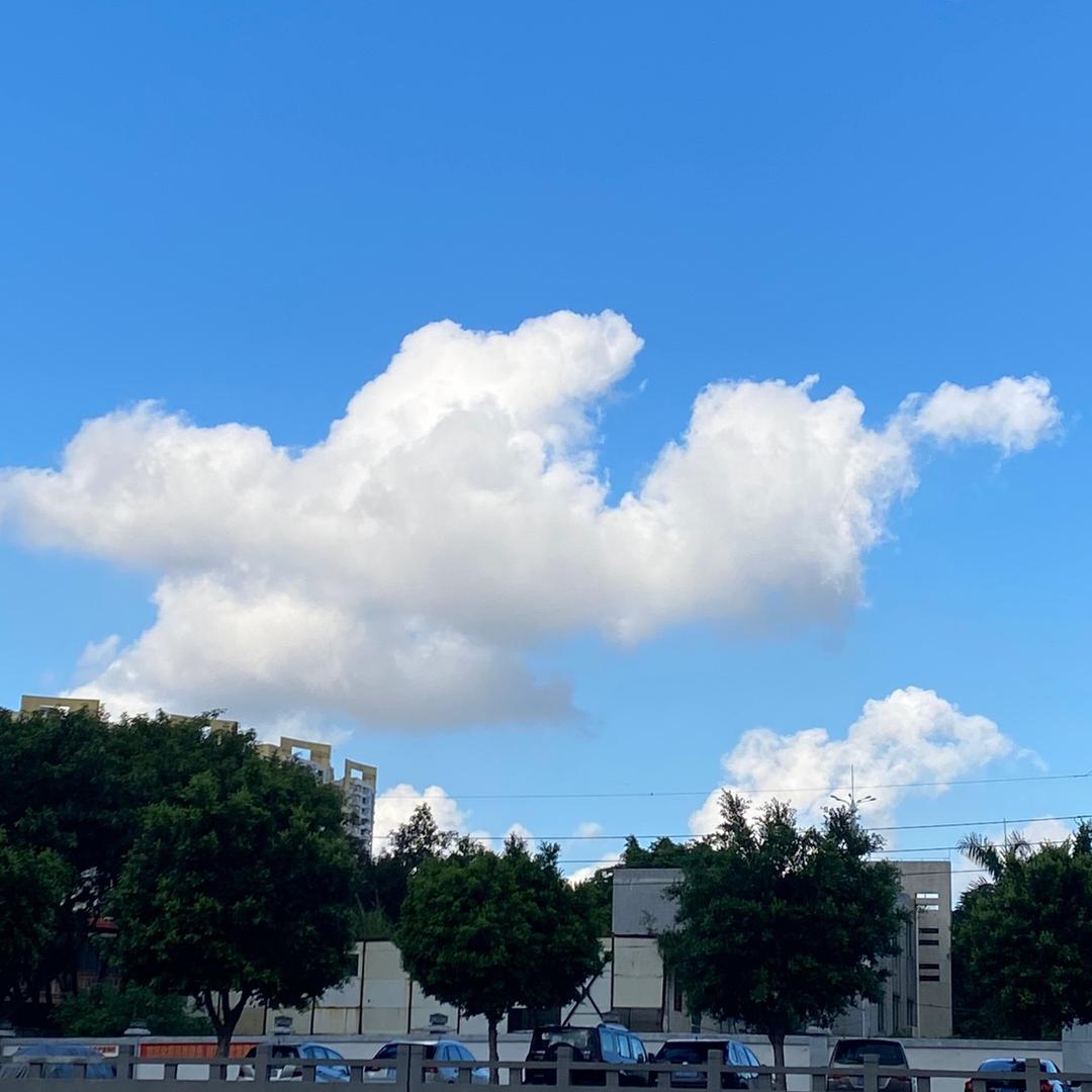 一切随缘、虾丸，牛丸、肉丸店