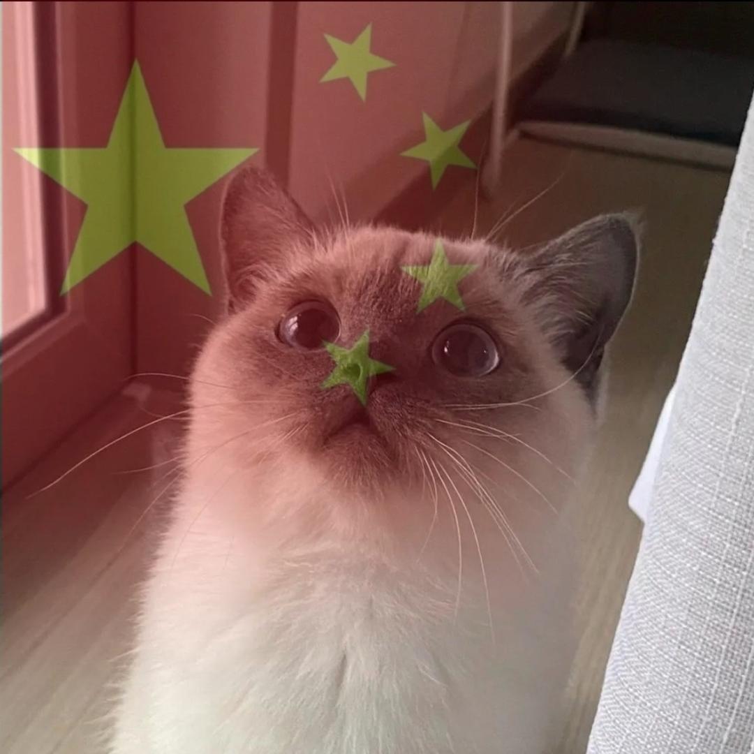 荒荒