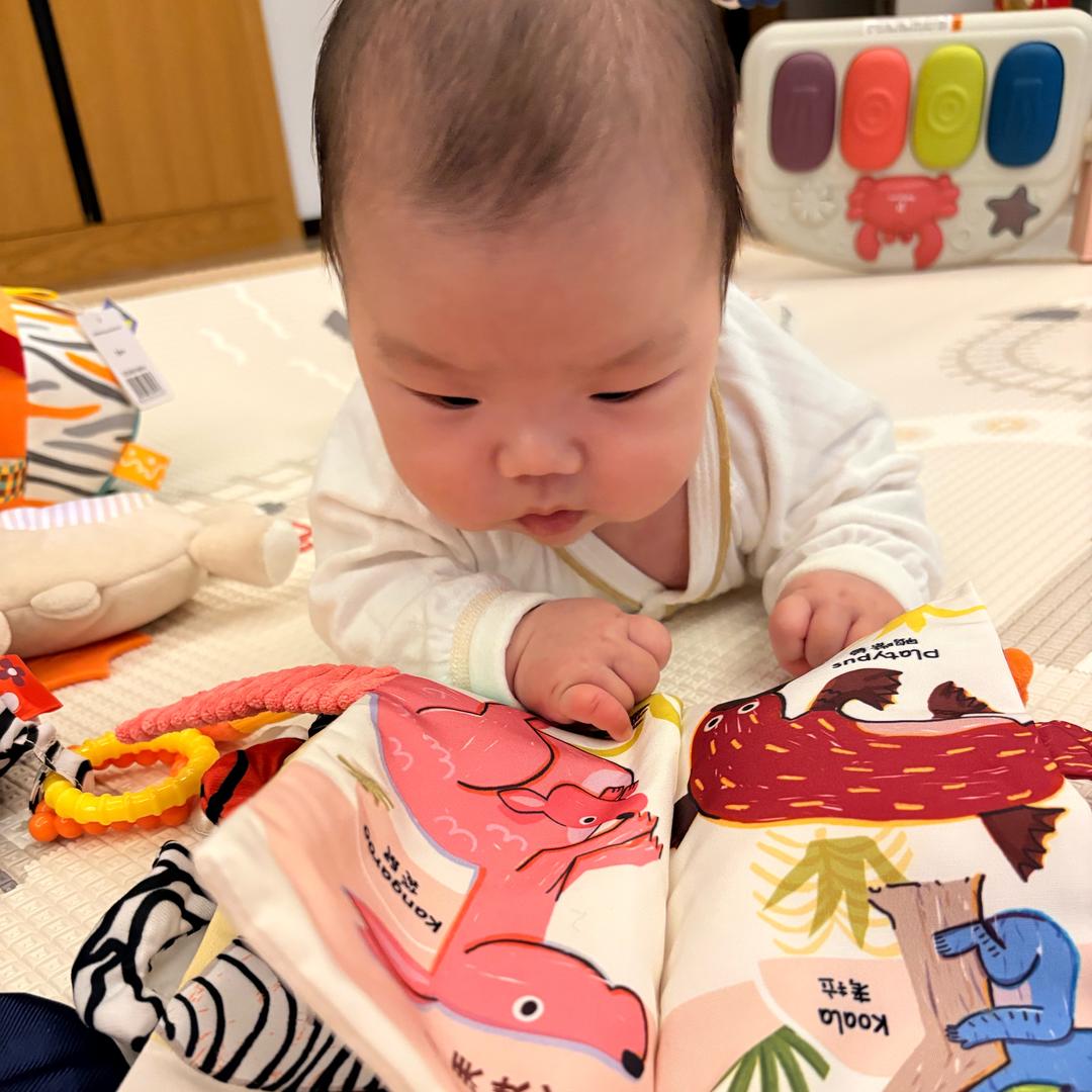 老李（哺乳期）