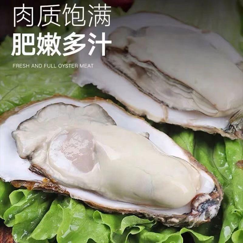 本来鲜水产次日达