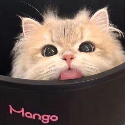 上上签，
