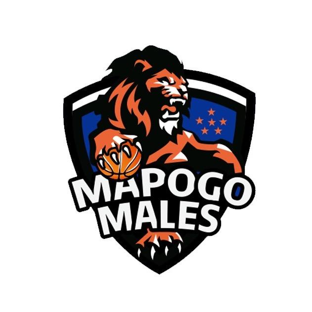 🇧🇾白华人大学生🏀联队