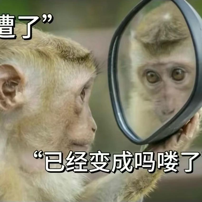 皓尧 小秀子