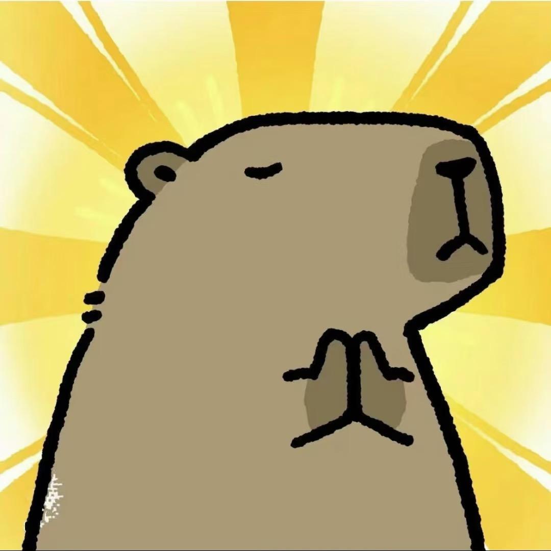 皮皮爱玩