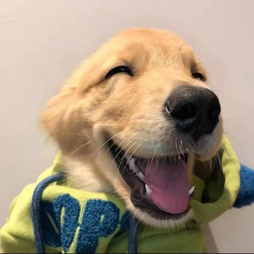 殿殿