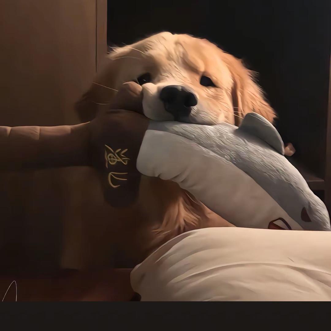 Archer