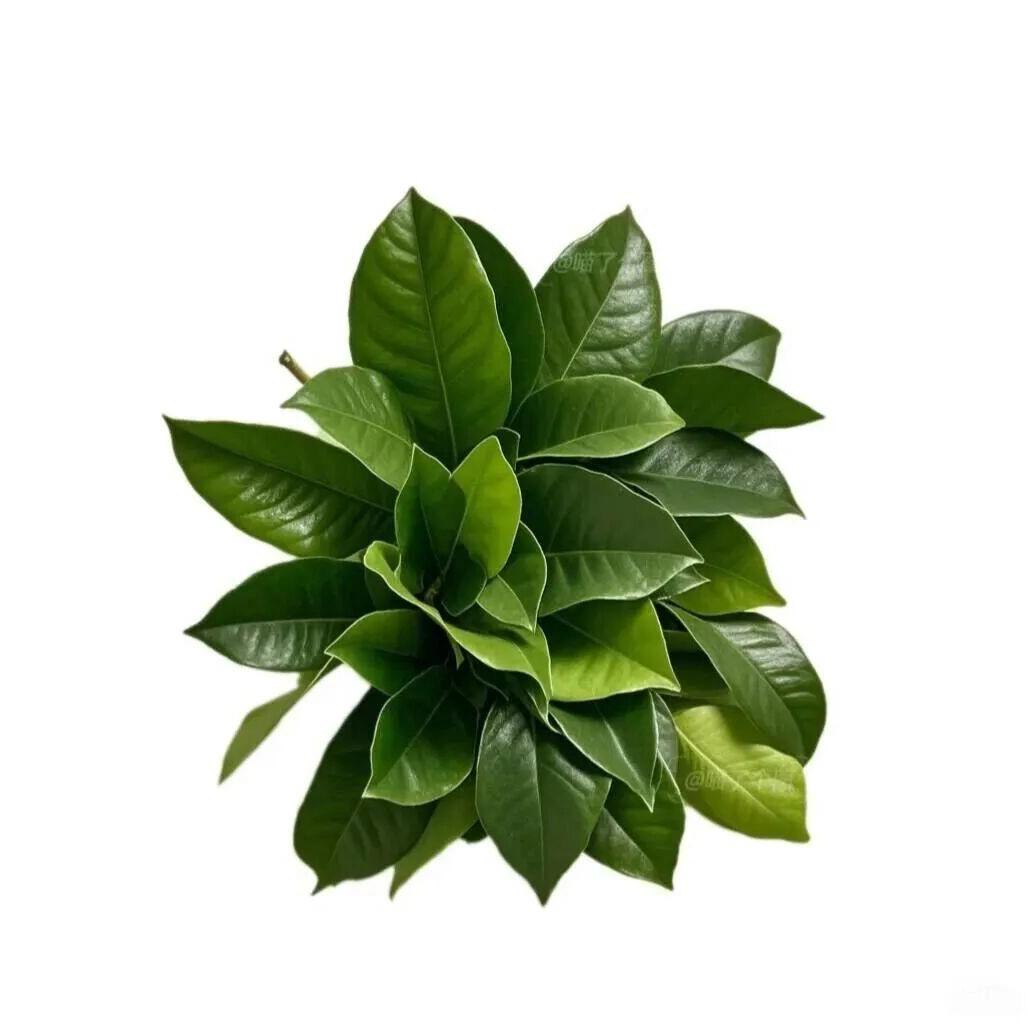 重生之我在都市玩拼豆