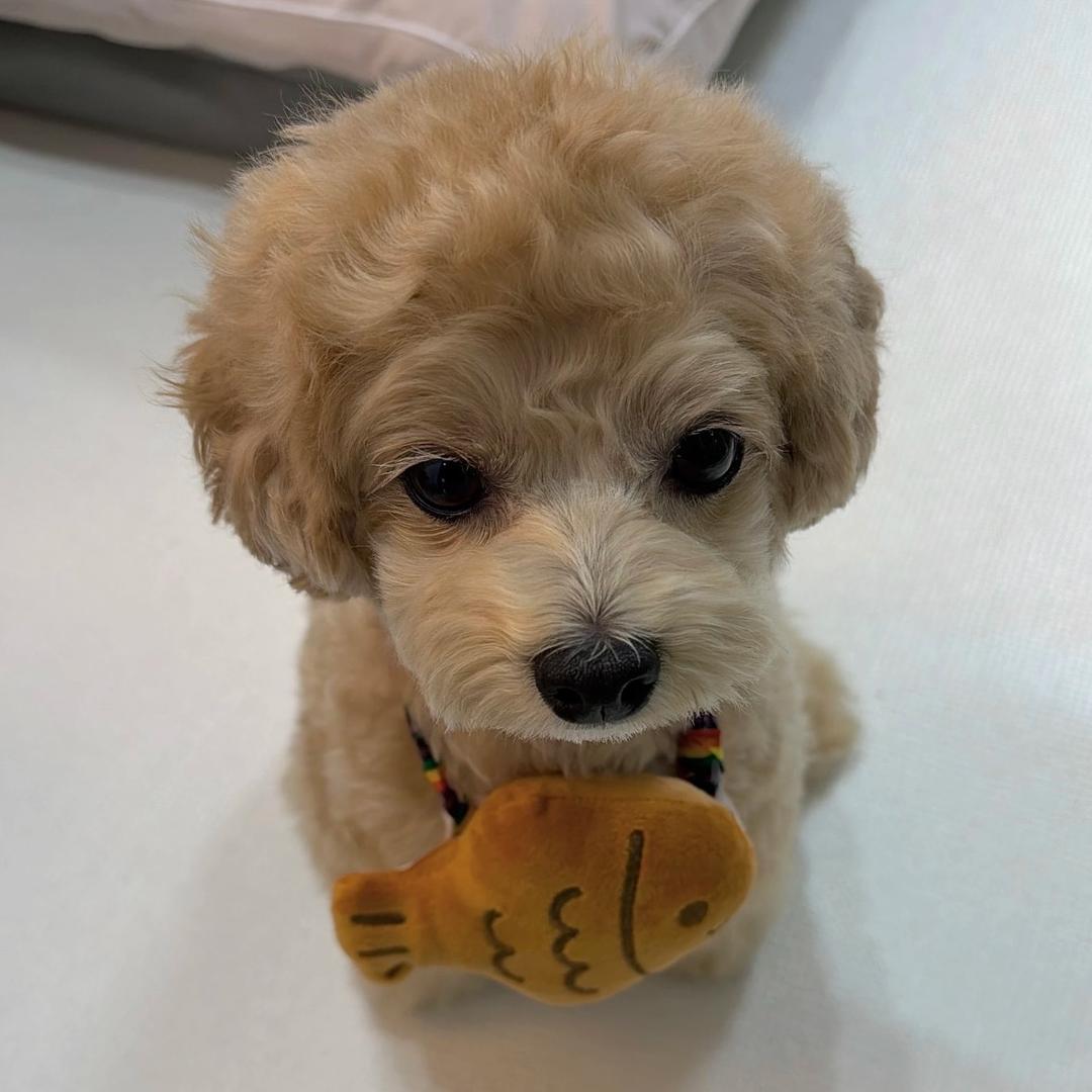 本来想早睡的🍀