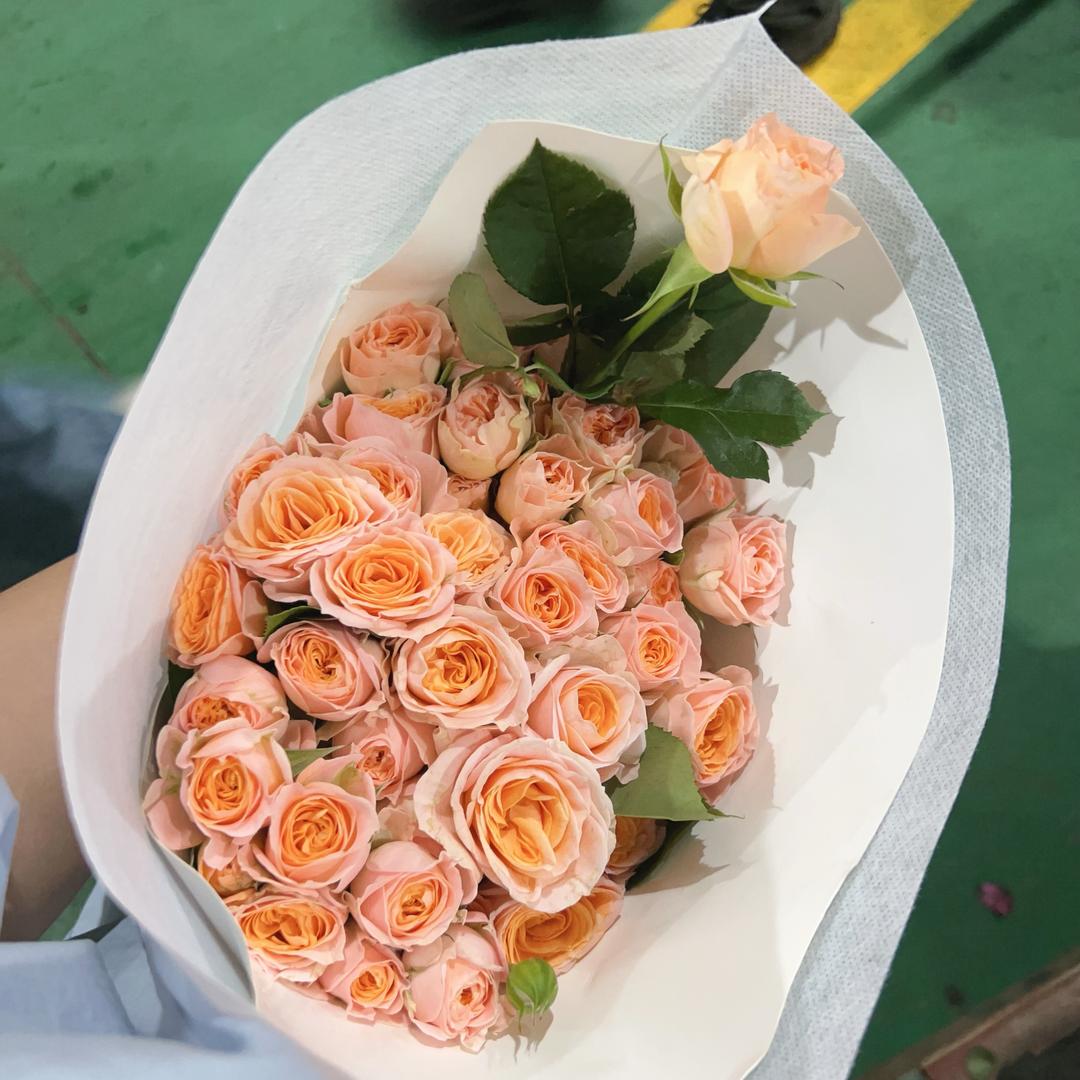 小杨在斗南卖花