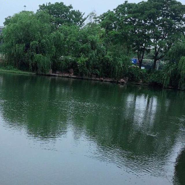 活好当下
