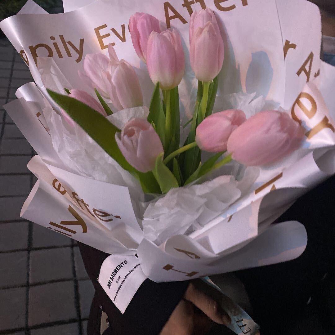 🌷🍓相思豆🍓🌷