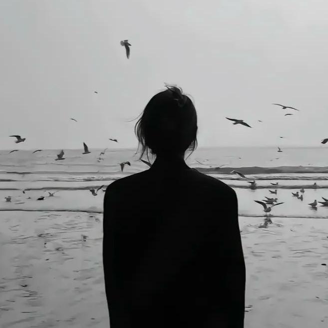 凡了个凡🧚‍♀️