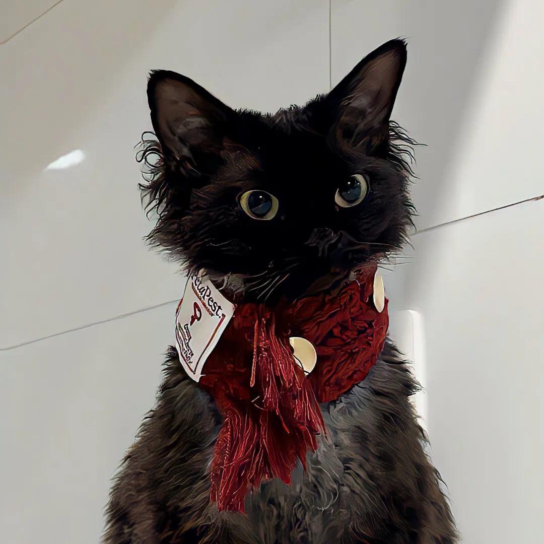 年纪轻轻硬邦邦的