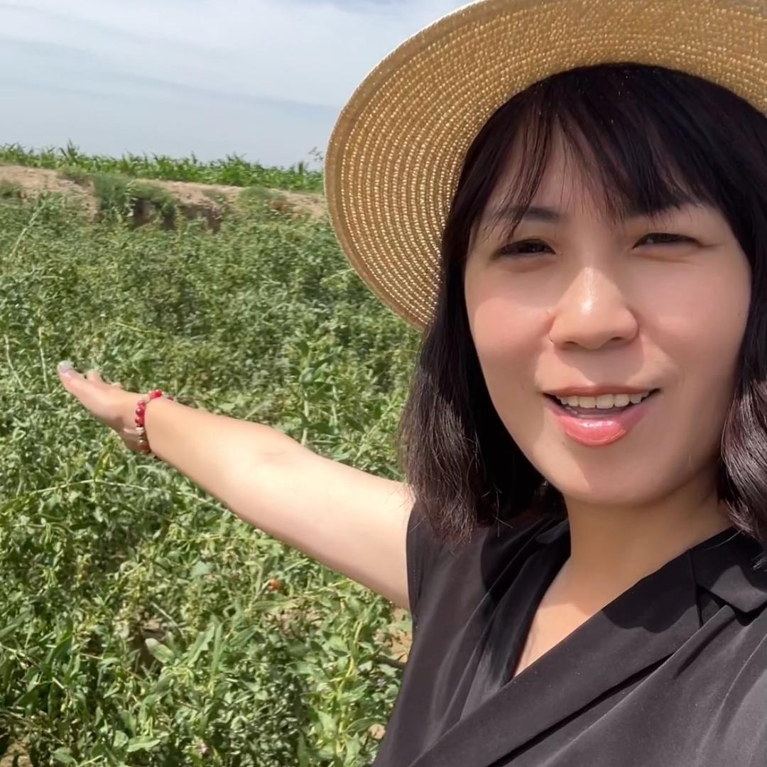 甘肃艾琳助农👒