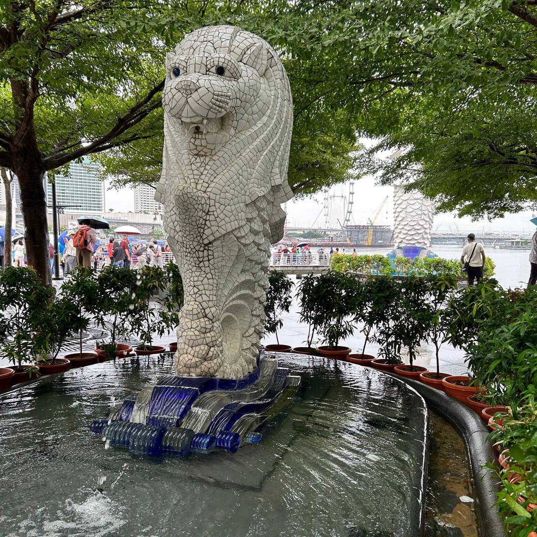 高冷小猪仔（有心事会失眠的猪仔）