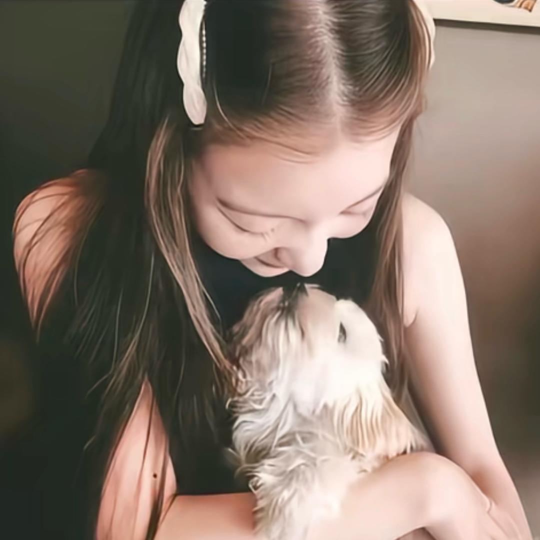 ㅤ  ㅤ