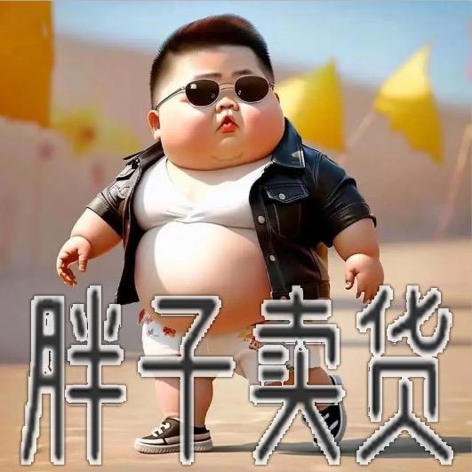 胖子卖货