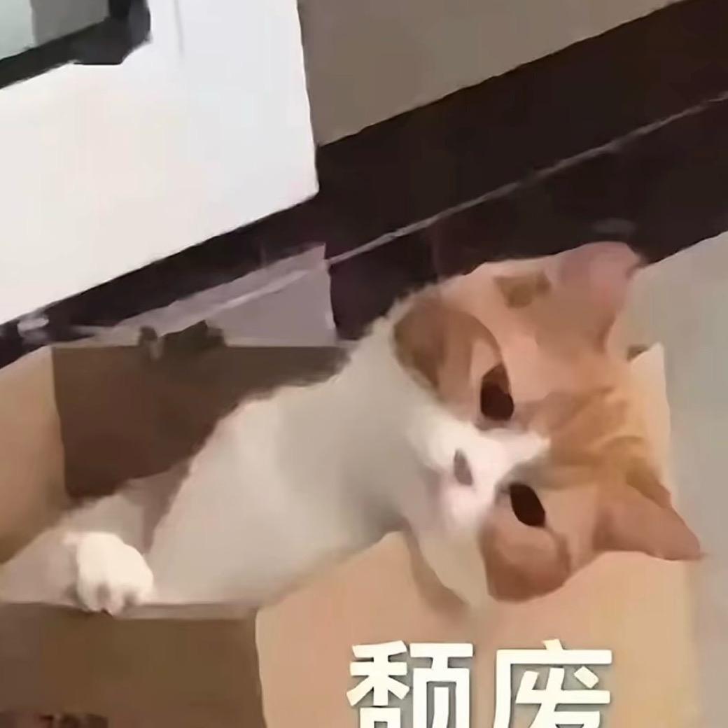 啵啵虎 >_<