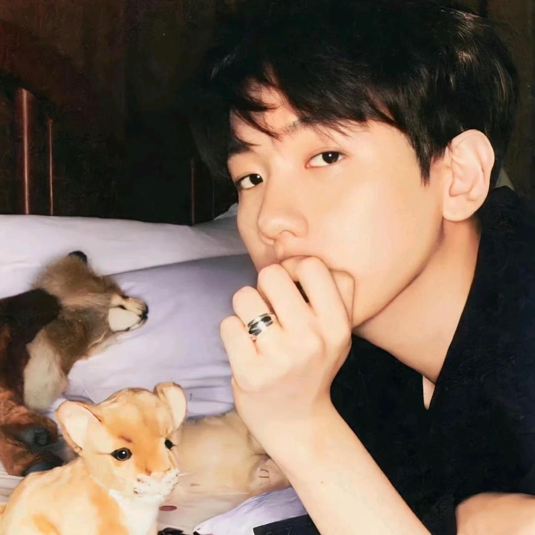 小鹿🦌