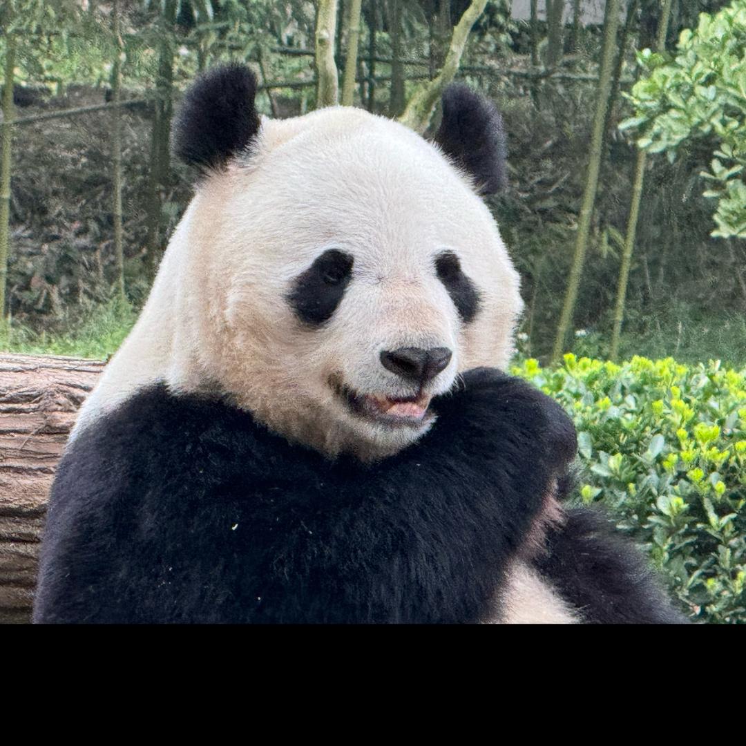 探索者