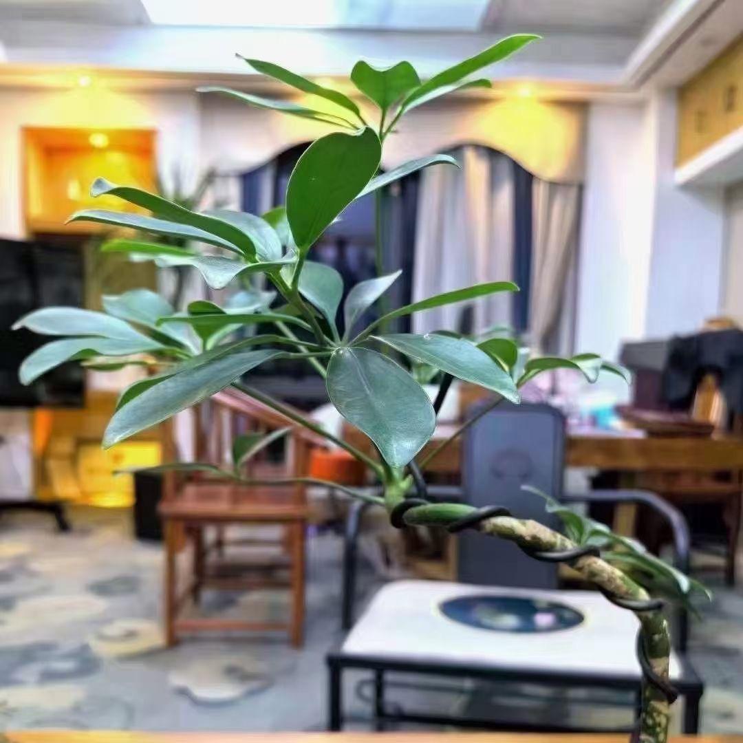 素朴宜齐工作室