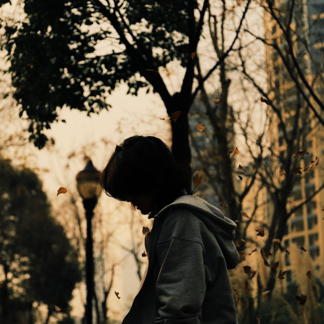 叶修🍂信仰