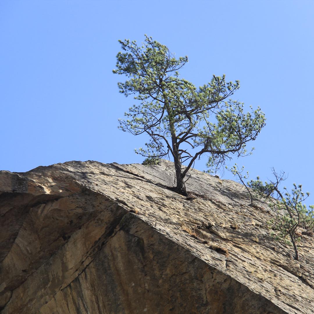 嘎尔藏日用百货商行