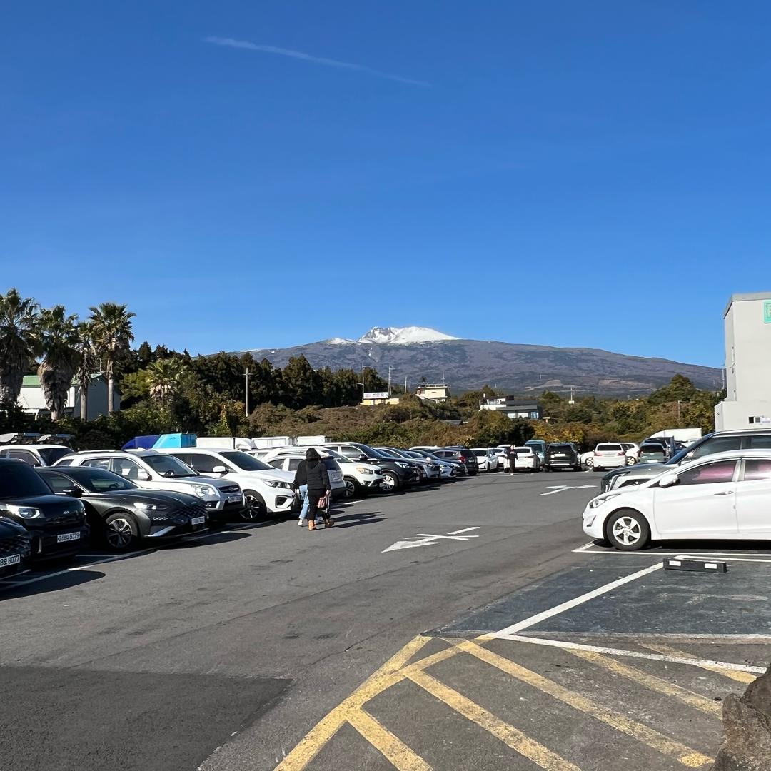 枫叶/⁹²³⁷ 🪐⁹