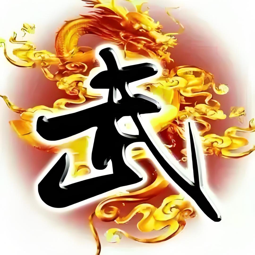 东方南北文武学校罗教练