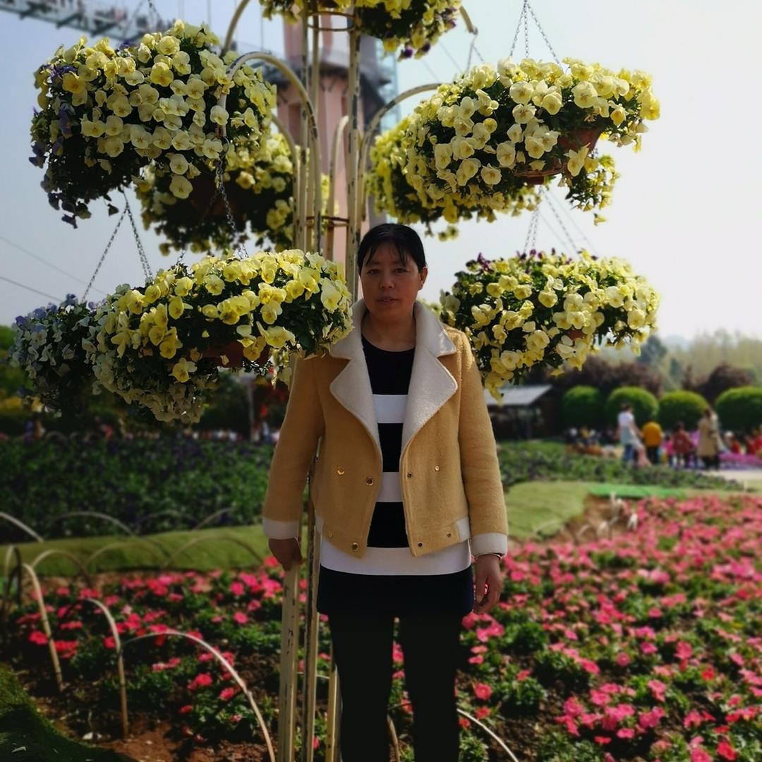 宋晓兰