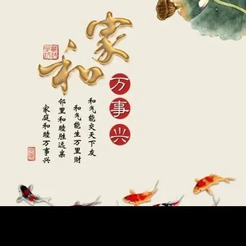 家庭小厨手