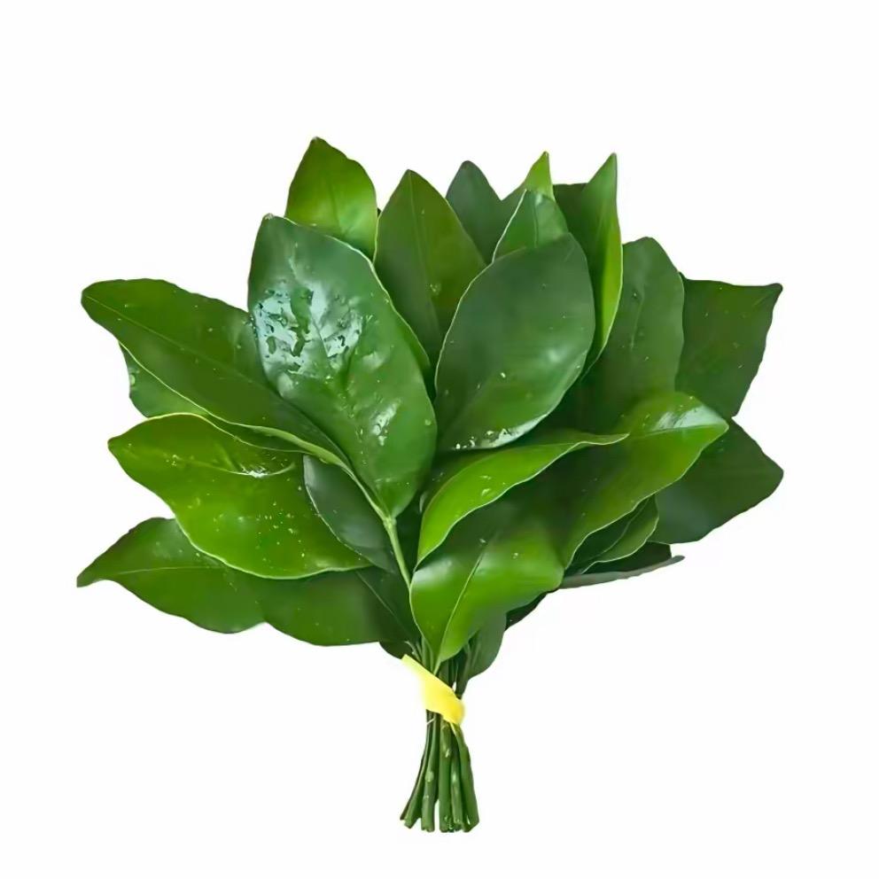 一天只饿三顿